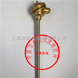 WRR2-120裝配式熱電偶上自儀三廠