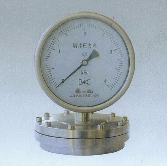 YPT-100A膜片壓力表